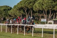 Il dormelliano Ornais rientra domenica a San Rossore nel ‘Bottanelli’